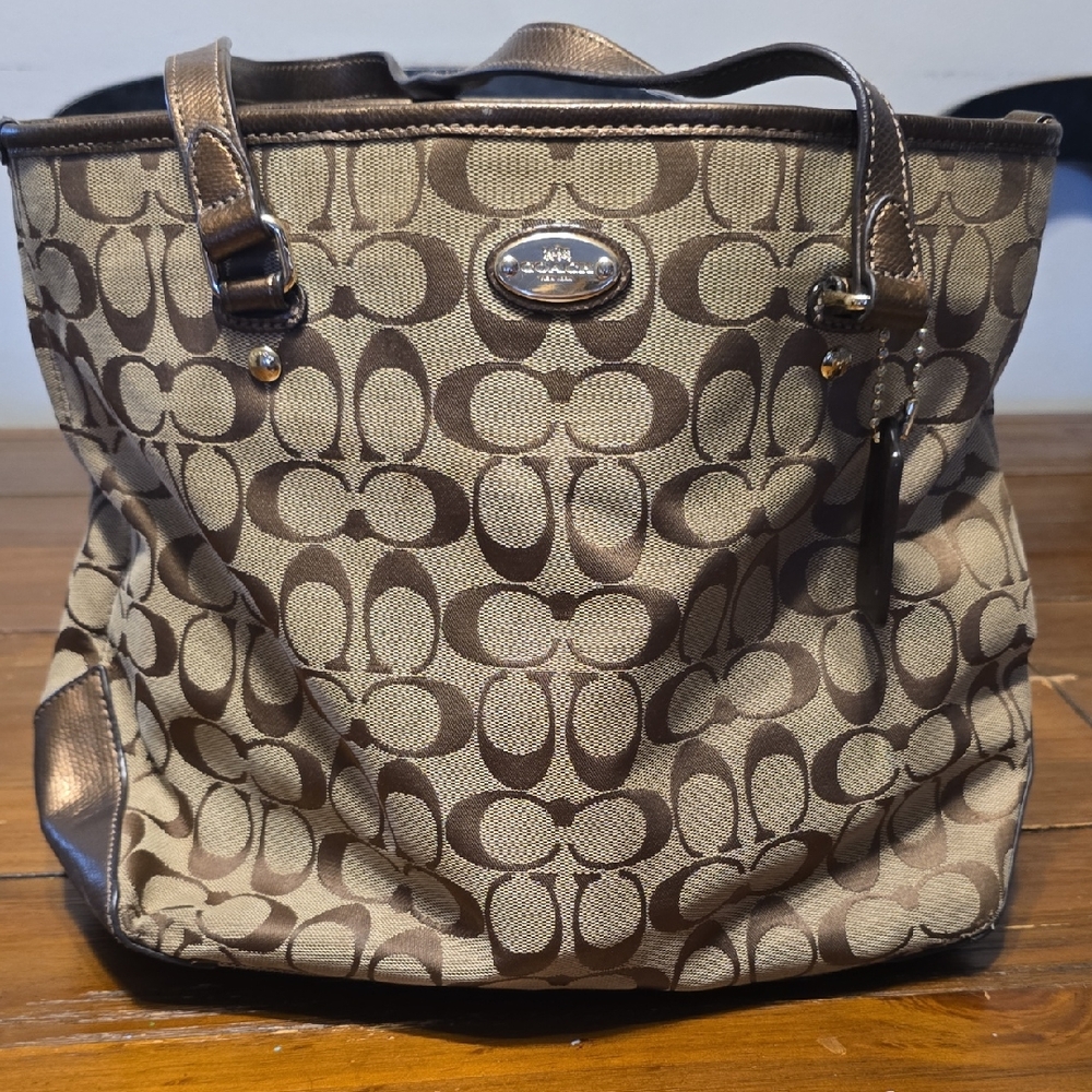 Coach Park Signature Carrie Tote Bag